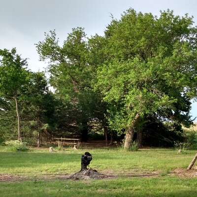 Click the Pic to see our TeePee Poles