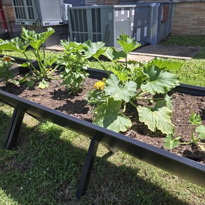 one small area of our shelter garden