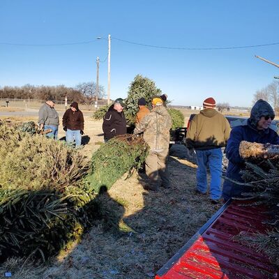 Hauling Christmas Tree for Habitat 2020